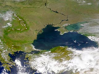 Остановить глобальное потепление могут кораллы, живущие в глубинах Черного моря