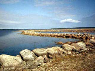 В Новосибирской области угроза прорыва дамбы на озере Чаны