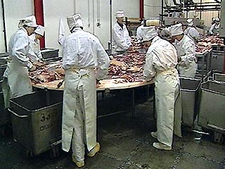На территории мясоперерабатывающего комбината ликвидирован организованный уроженцами Вьетнама подпольный цех