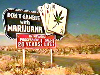 США делают шаг к легализации марихуаны