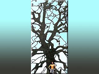 В Великобритании художник нарисовал 10-метровое дерево в натуральную величину