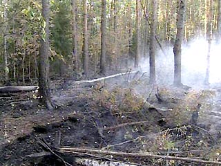 В Смоленской области из-за пожаров введено чрезвычайное положение