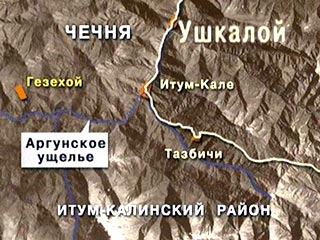В окрестностях населенного пункта Ушкалой Итум-Калинского района Чечни совершено нападение на колонну временного отдела внутренних дел