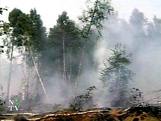 В Подмосковье огнем охвачены более 600 гектаров леса
