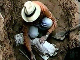 В Эфиопии найдены останки людей, которым 1,5 млн. лет