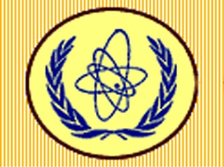 Международное агентство по атомной энергии (МАГАТЭ) объявило о готовности направить в Ирак своих инспекторов