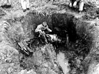 В болоте под Калининградом нашли самолет с останками летчика, погибшего в 1944 году