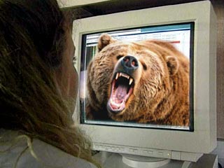 В интернете появился "медвежий" вирус