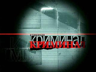 Неизвестные преступники напали на корреспондента телепрограммы НТВ "Криминал" Михаила Тукмачева