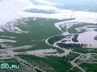 В Приморском крае уже 15 районов объявлены зоной бедствия