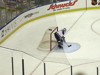 Болельщики требуют убрать защитные сетки на аренах НХЛ