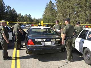 В США найден грузовик с 11 разложившимися трупами нелегальных иммигрантов