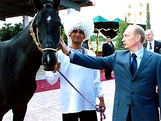 Владимир Путин: "Россия всегда высоко держала планку" в коневодстве