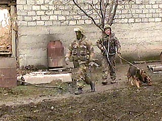 Предотвращен теракт в Наурском районе Чечни
