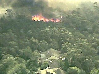 Сильные лесные пожары уже около недели бушуют на территории австралийского штата Новый Южный Уэльс