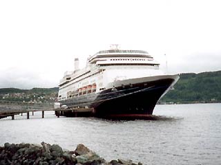 163 пассажира морского лайнера Amsterdam подхватили вирус во время круиза