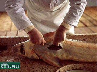 Подпольный цех по производству красной икры обнаружен на Сахалине
