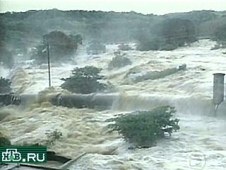 В Бразилии сильнейшие наводнения нанесли огромный ущерб хозяйству. Из-за разгула стихии уже погибли 49 человек и более 120 тысяч бразильцев остались без крова