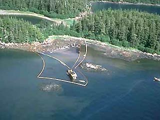 Exxon Mobil приговорили к штрафу в 4 млрд долларов за крушение в 1989 году супертанкера "Валдес" у берегов Аляски