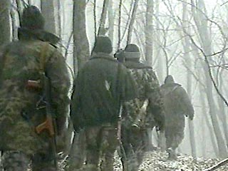 Около 40 боевиков Руслана Гелаева готовятся к прорыву в Ингушетию