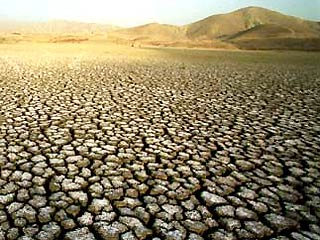 На юг Африки обрушилась небывалая засуха