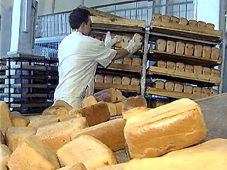 В Тверской области появились новые сорта хлеба: "Новый русский" и "Новый русский крутой"