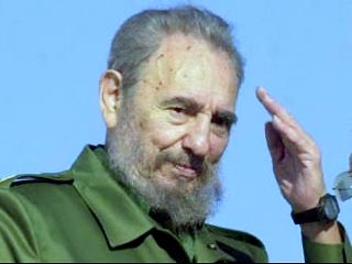Фидель Кастро заявил, что причиной болезни, из-за которой он больше недели не появляется на публике, похоже, является укус "муравья, комара или какого-то другого насекомого"