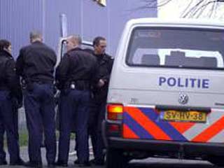 Полиция Нидерландов задержала двоих подозреваемых в ограблении музея Ван Гога