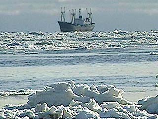 С иностранного судна в Финском заливе срочно эвакуирован моряк