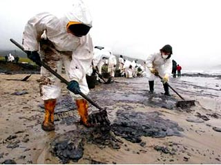 Очистка испанского побережья от нефтепродуктов с затонувшего танкера "Престиж" обойдется втрое дороже, чем предполагалось