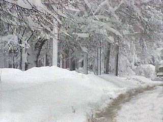 В ближайшие дни из московских дворов начнут вывозить снег