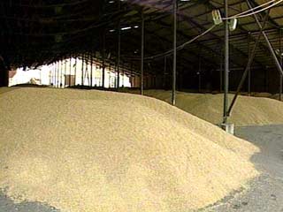 В 2002 году Россия экспортировала рекордные объемы зерна. По данным Государственного таможенного комитета, с января по ноябрь прошлого года Россия экспортировала 8,76 млн тонн зерна
