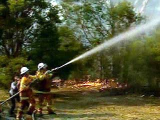 В столице Австралии Канберре в субботу в связи с сильнейшими лесными пожарами введено чрезвычайное положение