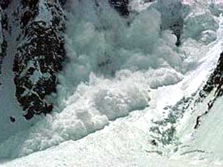 В результате схода снежной лавины в Австрийских Альпах погибли два человека