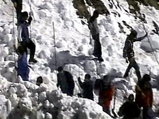 В Канаде 7 лыжников из США погибли во время схода лавины
