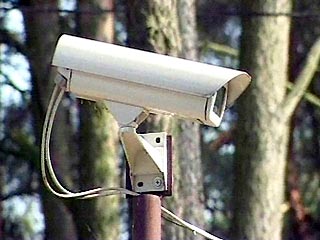 В глухих лесах России установят скрытые камеры