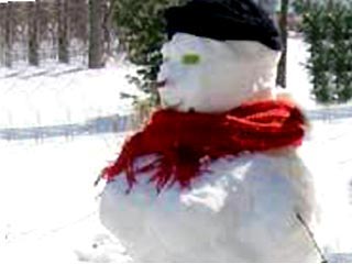 Жители города в американском штате Огайо пожаловались в полицию на соседку, вылепившую "неприличного" снеговика