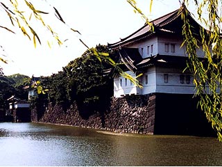 Из рва, окружающего дворец японского императора в Токио, решили изгнать всю иностранную рыбу - то есть те виды, которые были завезены в Японию из других стран