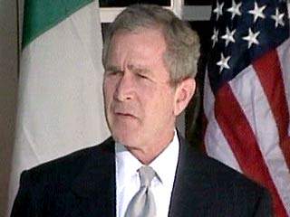 Президент США Джордж Буш заявил, что в течение 11 дней войны в Ираке войска антииракской коалиции "действовали блестяще"