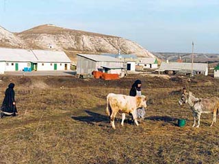 Из-за экономической слабости Церкви трудно будет восстановить монастырские хозяйства