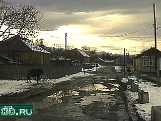 Сотрудники Детского фонда Северной Осетии в течение предновогодней недели на нескольких машинах развозят подарки в отдаленные горные аулы и селения