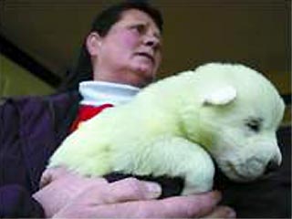Дебра Эшдаун из города Ридль штат Орегон держит на руках щенка с необычным зеленоватым оттенком шерсти