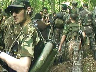 В результате амнистии в Чечне сдадутся около 1500 боевиков
