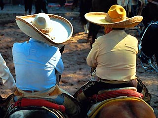 Мексиканские фермеры разделись до трусов, требуя вернуть землю