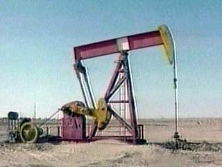 США потребовали от Организации стран-экспортеров нефти не сокращать квоты на добычу и экспортные поставки сырой нефти хотя бы до осени текущего года