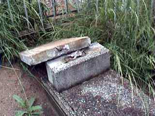 Неизвестные вандалы повредили более тридцати могил на одном из гомельских кладбищ