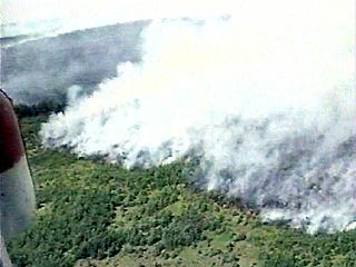 На Дальнем Востоке общее число лесных пожаров достигло в пятницу 142, сообщили РИА "Новости" в пятницу в диспетчерской службе Дальневосточной базы авиационной охраны лесов