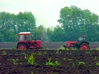Британские фермеры, измученные бюрократией Европейского Союза, перебираются в Россию, чтобы культивировать земли, предлагаемые иностранцам в плодородном регионе