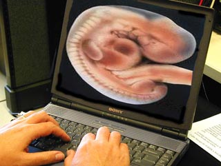 В июле в Англии родится первый интернет-ребенок