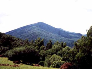 Гора Синюха почитается на Алтае как святыня